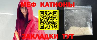 шишки Новодвинск