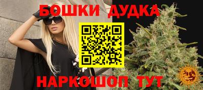 дурь Новозыбков