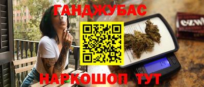 шишки Новодвинск