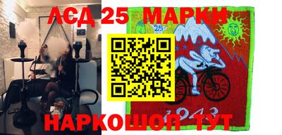 шишки Новодвинск