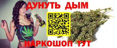шишки Новодвинск