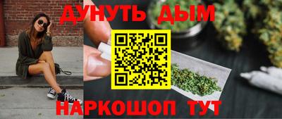 шишки Новодвинск