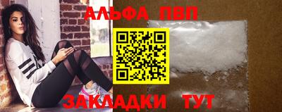 шишки Новодвинск