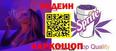 шишки Новодвинск