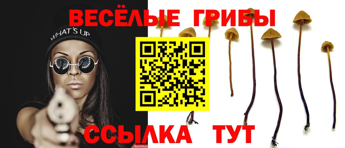 Псилоцибиновые грибы ЛСД Удомля